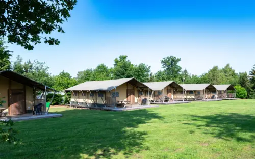 Vakantiehuisjes de Pampel 41
